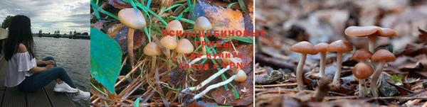 винт Краснотурьинск