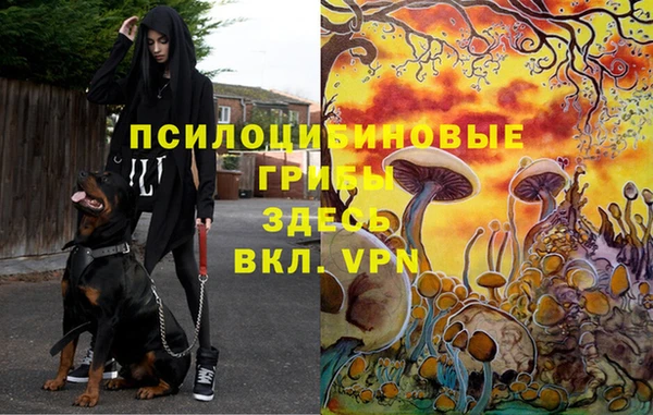 экстази Краснослободск