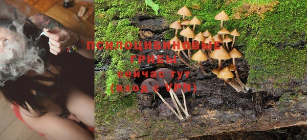 apvp Кукмор