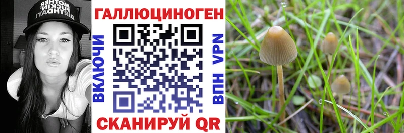 Галлюциногенные грибы ЛСД  закладки  Нефтеюганск 