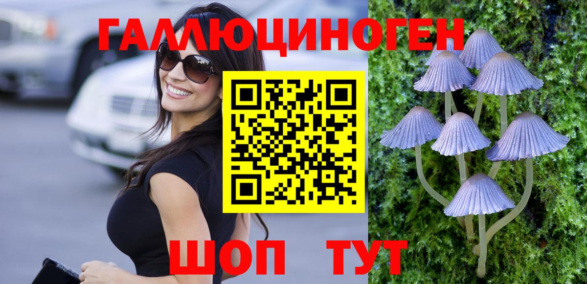 Псилоцибиновые грибы Psilocybe  Нефтеюганск 