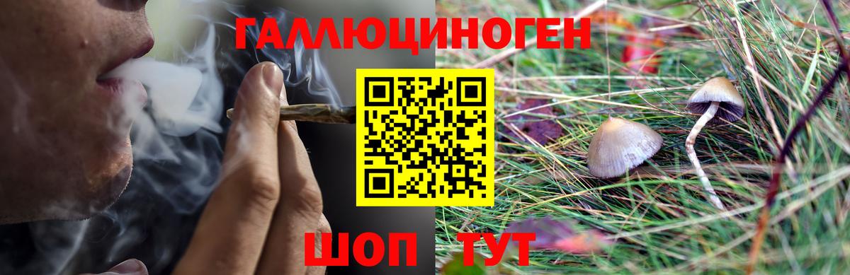 Галлюциногенные грибы MAGIC MUSHROOMS Нефтеюганск